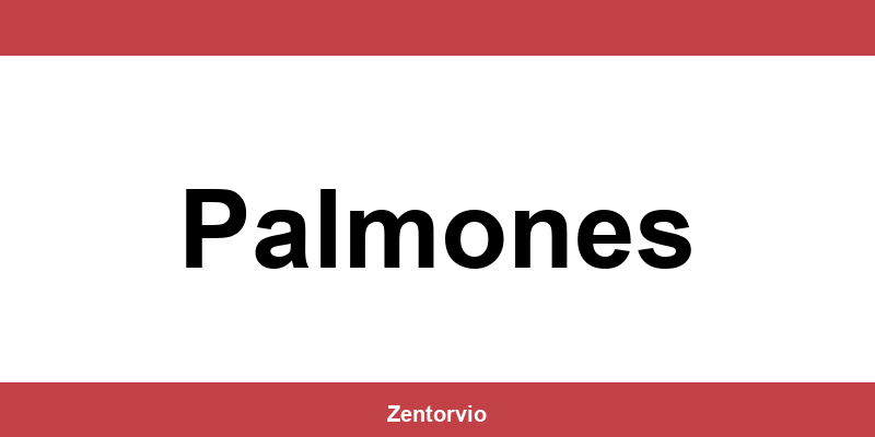 Teléfono y dirección DHL en Palmones